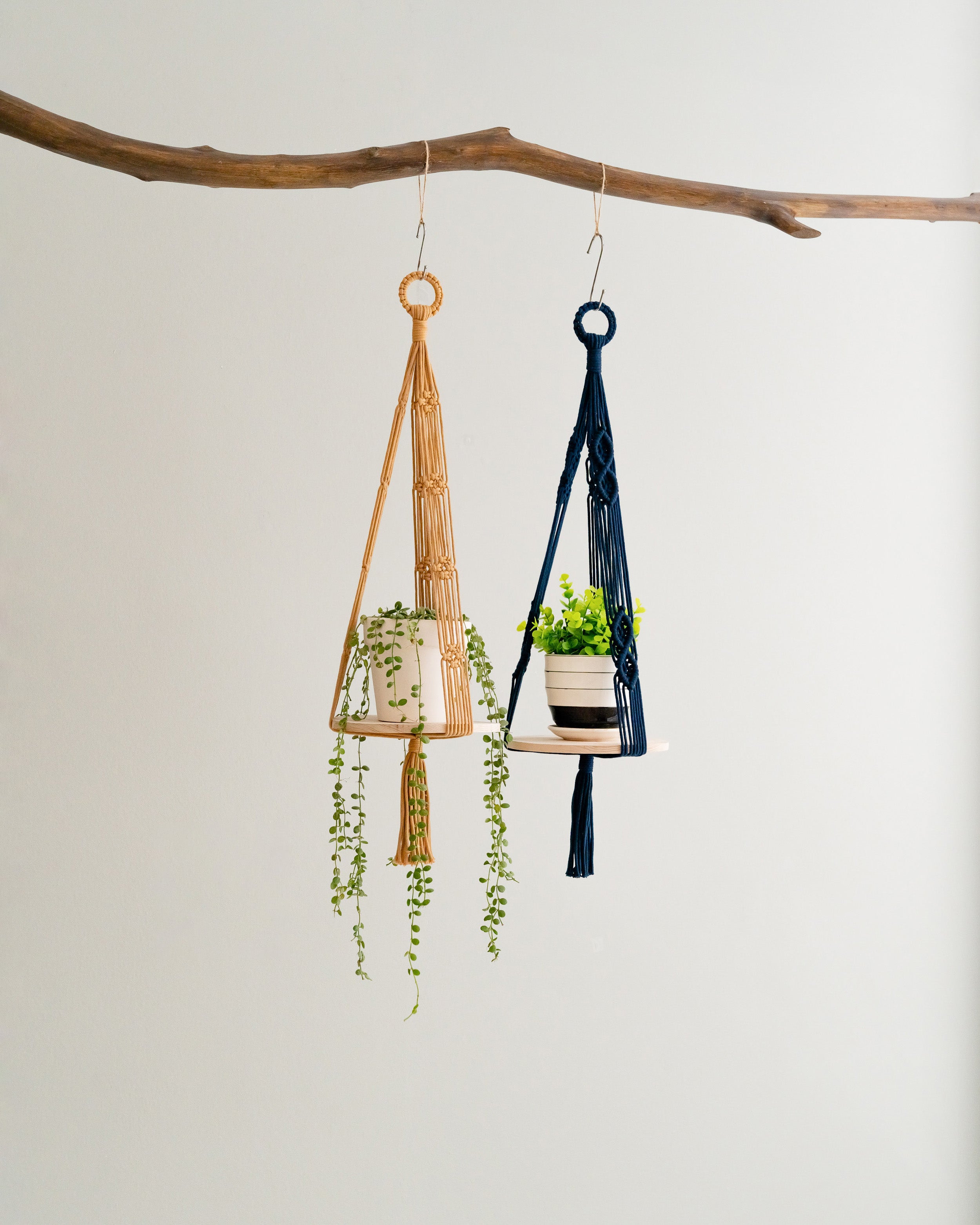 Wooden Plant Shelf for Boho Chic Hanging Plant Displays