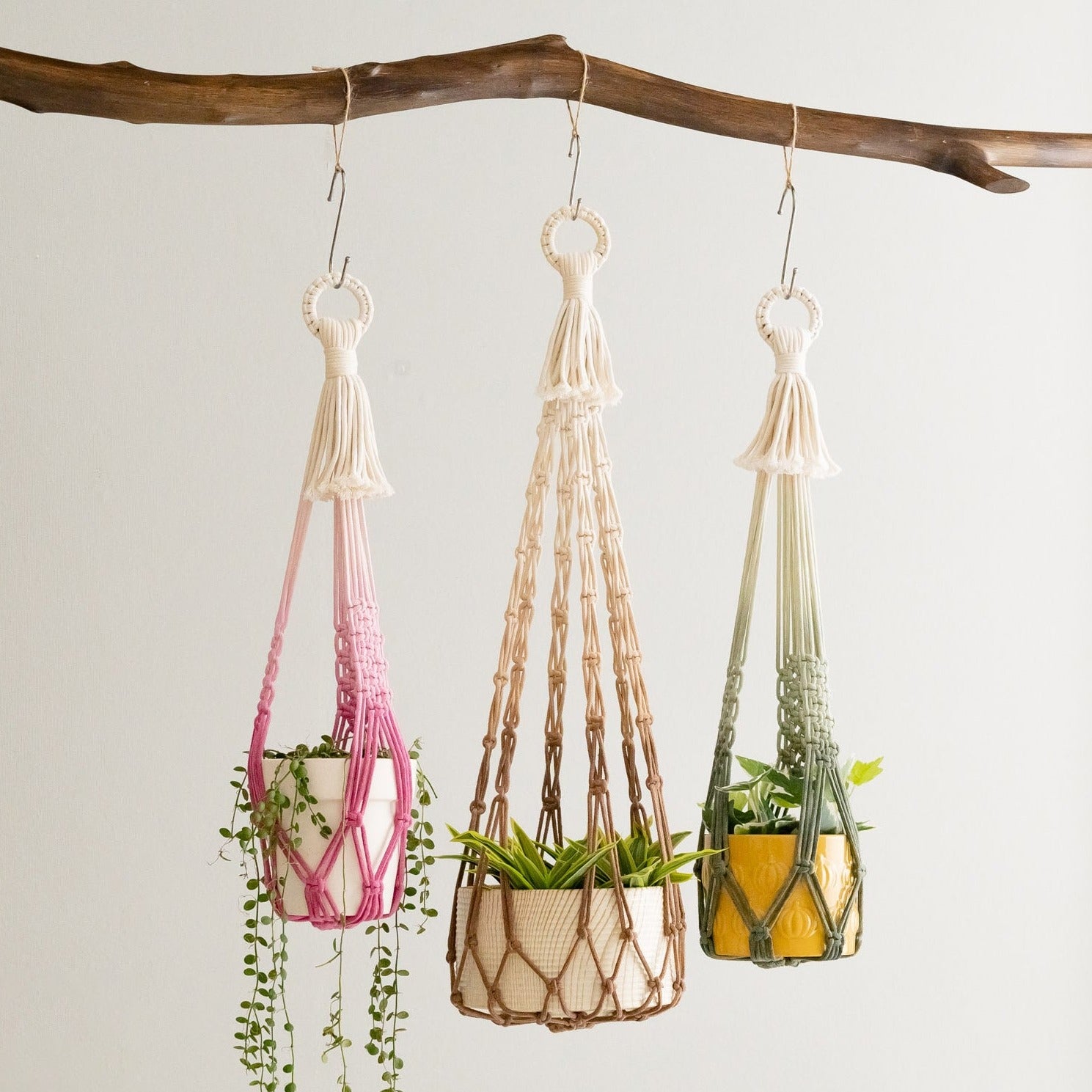 Dip-Dyed Macrame Plant Holder for Modern Indoor and Garden Decor