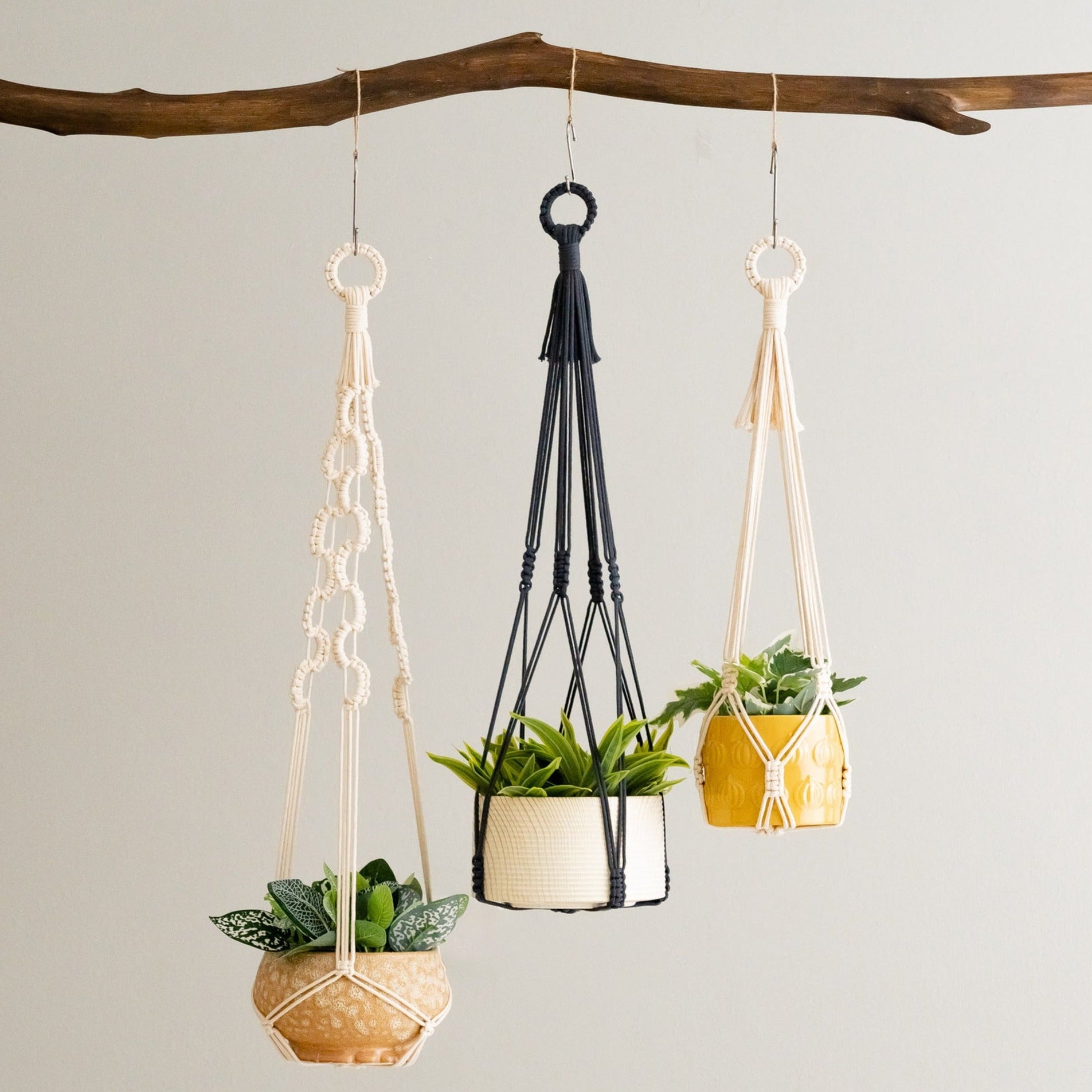 Wall Hanging Plant Holder for Chic Indoor and Balcony Decor