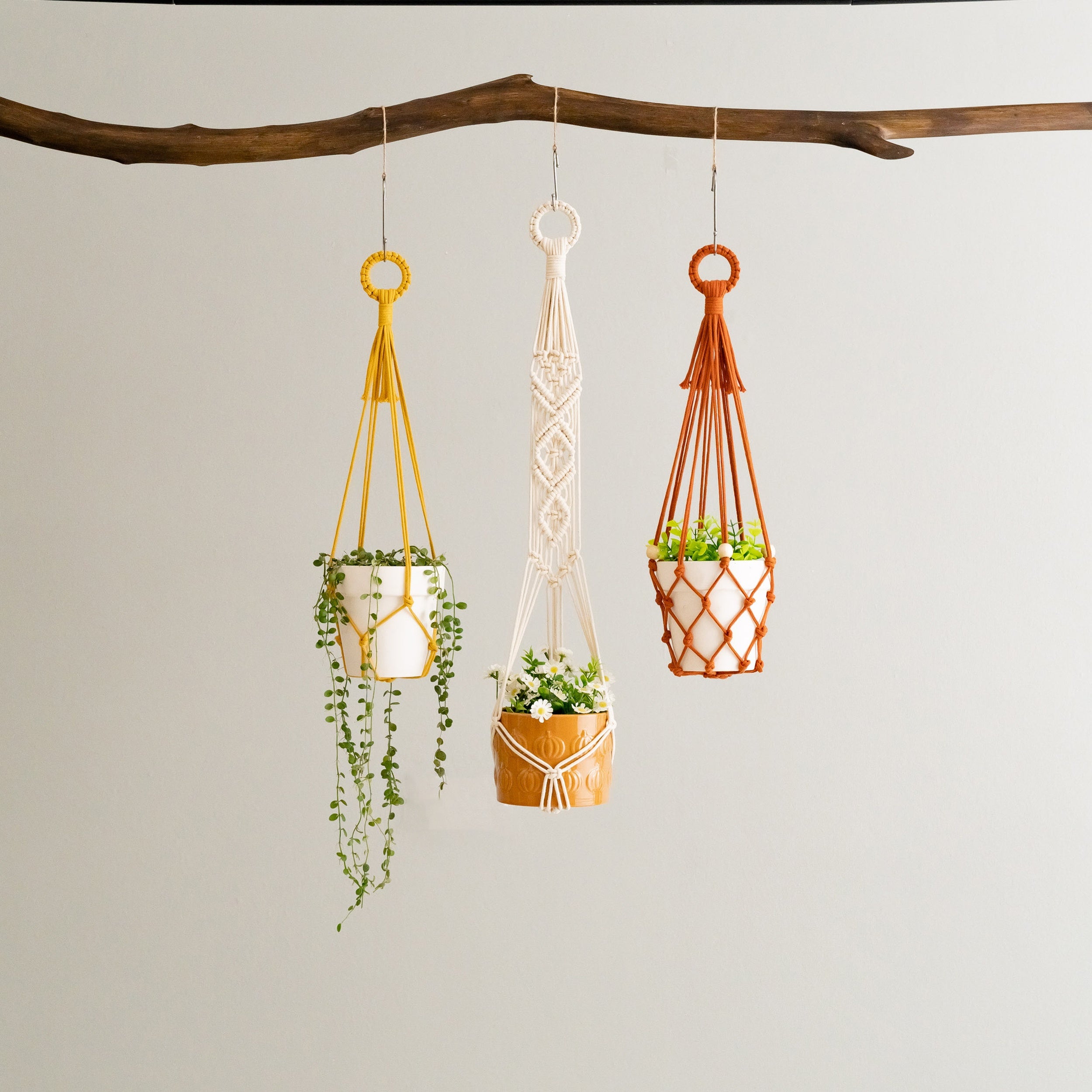 Wall Hanging Plant Holder for Stylish Indoor and Balcony Decor