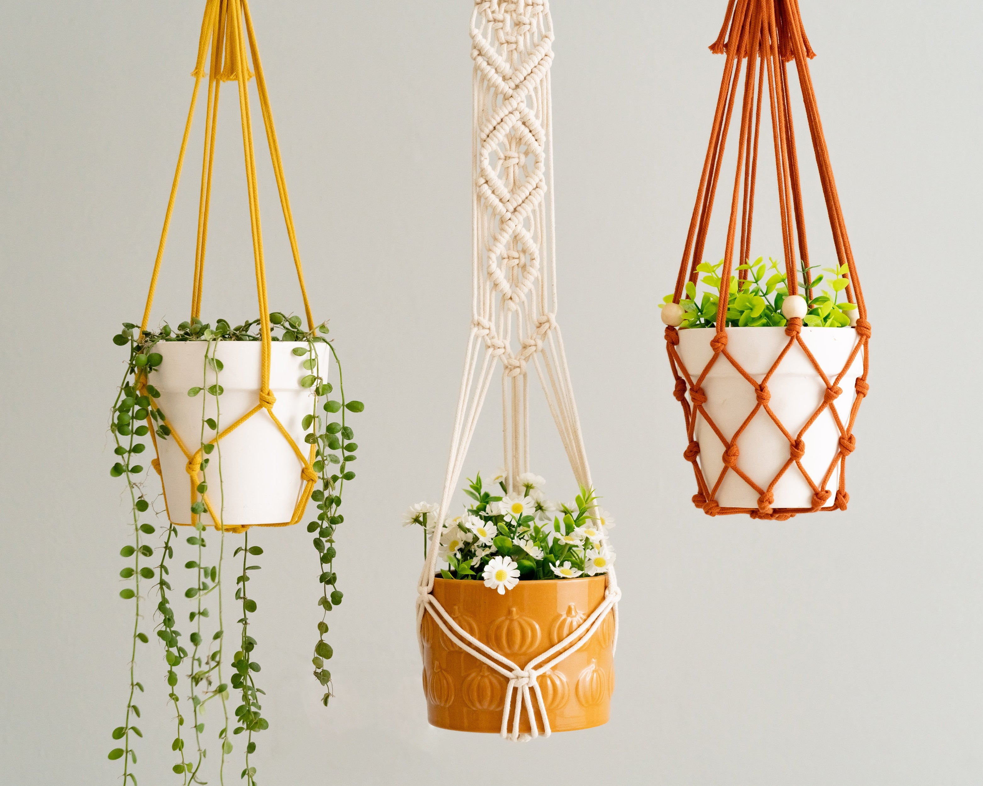 Wall Hanging Plant Holder for Stylish Indoor and Balcony Decor