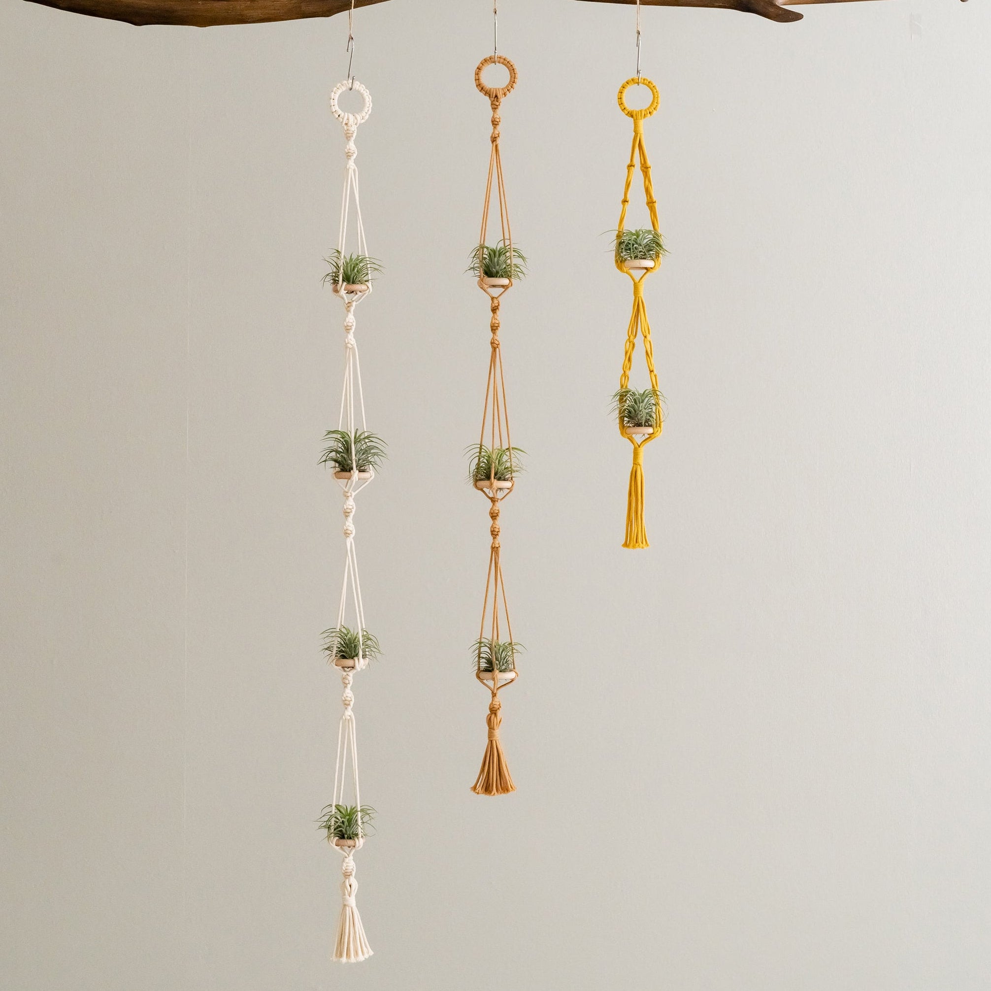 Macrame Air Plant Hanger – Cotton Minimalist Boho Wall Display I79