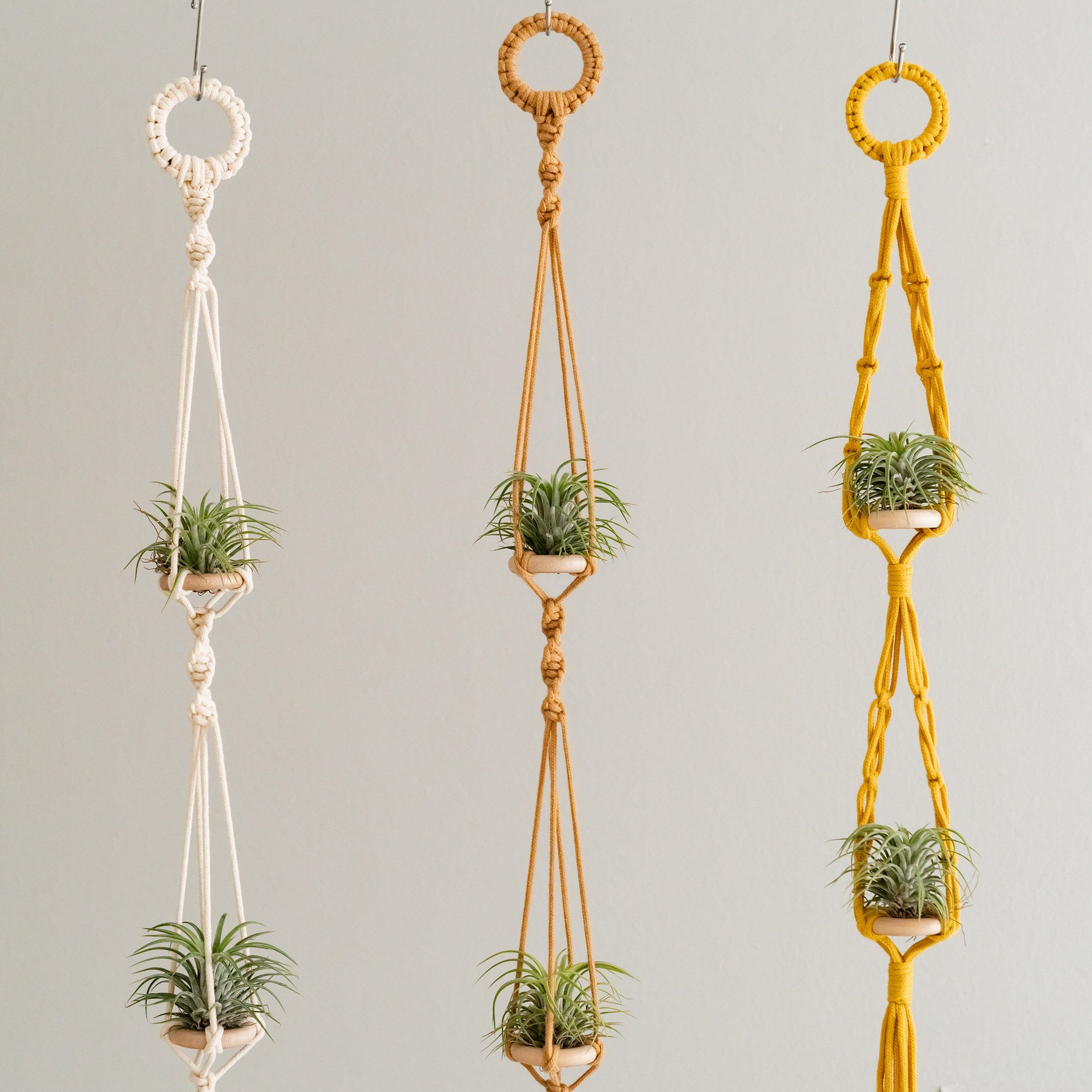 Macrame Air Plant Hanger Macrame for Wall and Boho Decor I79
