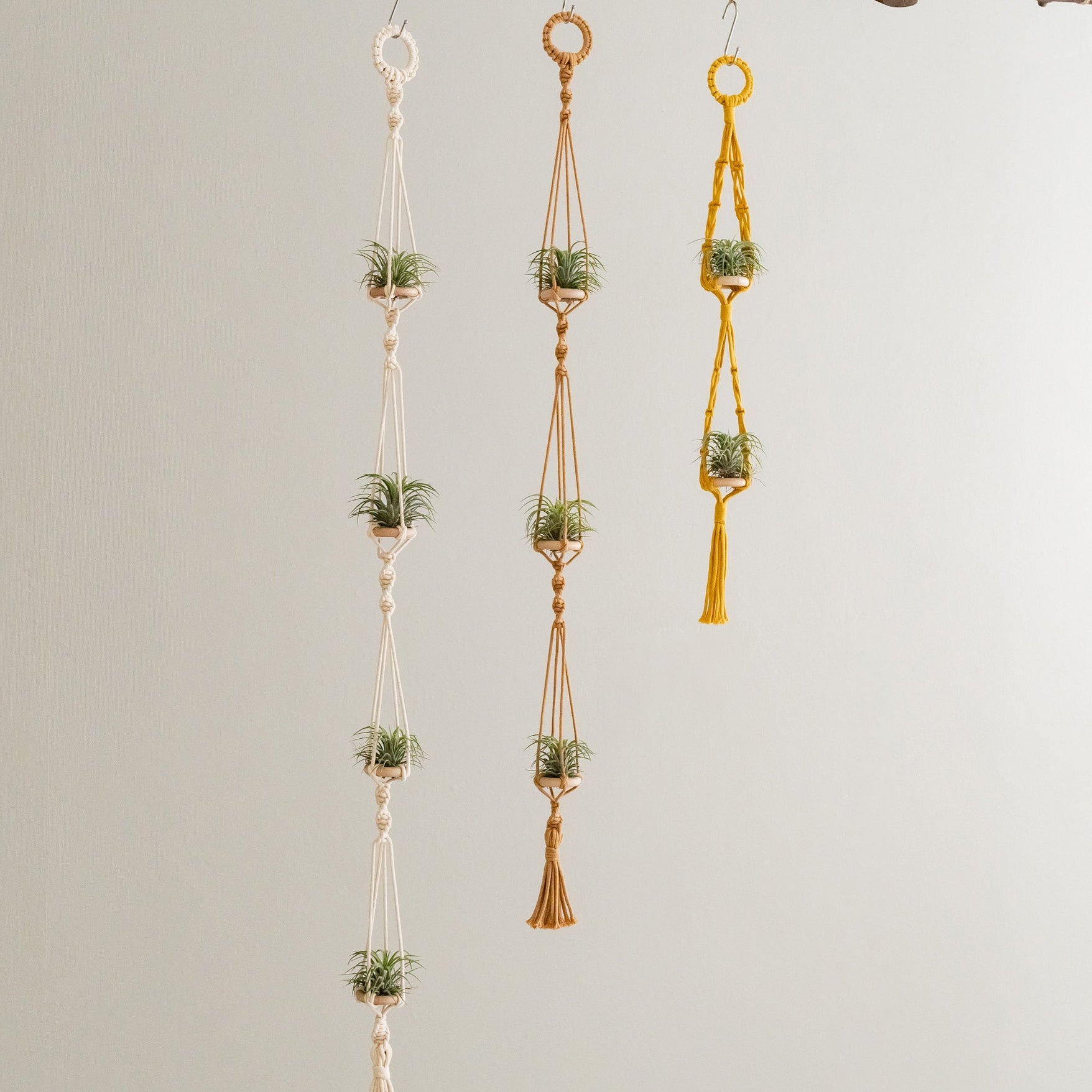 Macrame Air Plant Hanger – Cotton Minimalist Boho Wall Display I79