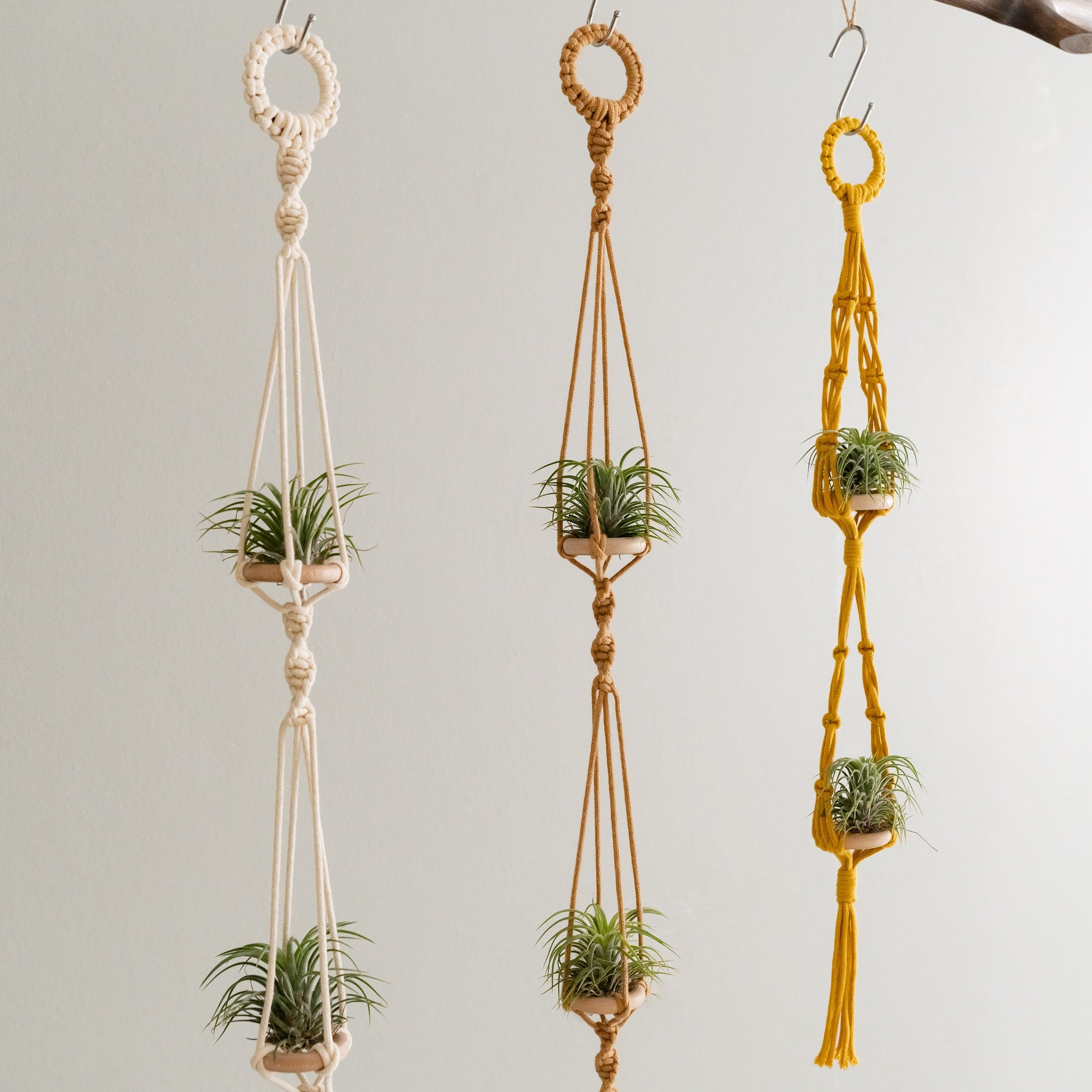 Macrame Air Plant Hanger Macrame for Wall and Boho Decor I79