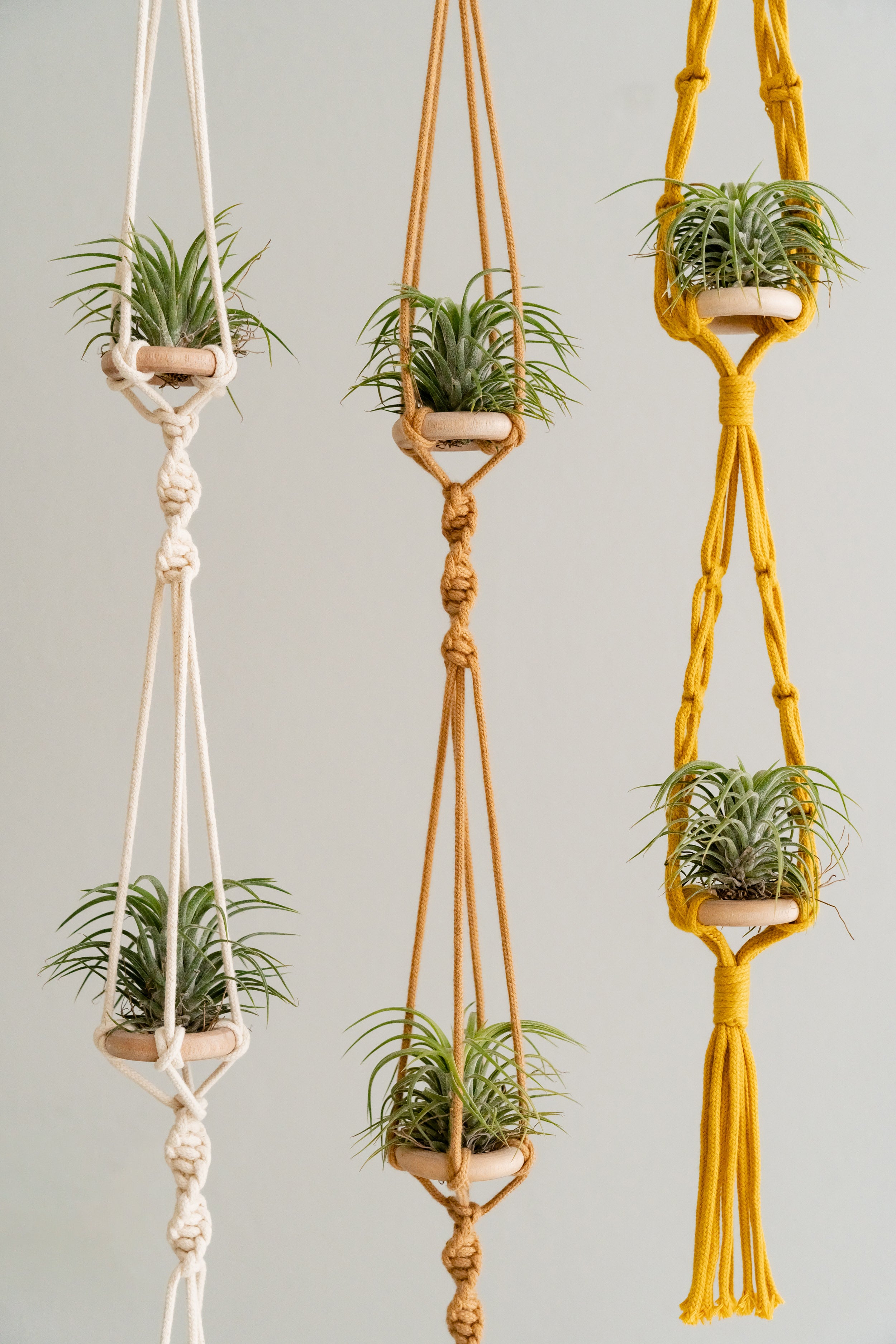 Macrame Air Plant Hanger – Cotton Minimalist Boho Wall Display I79