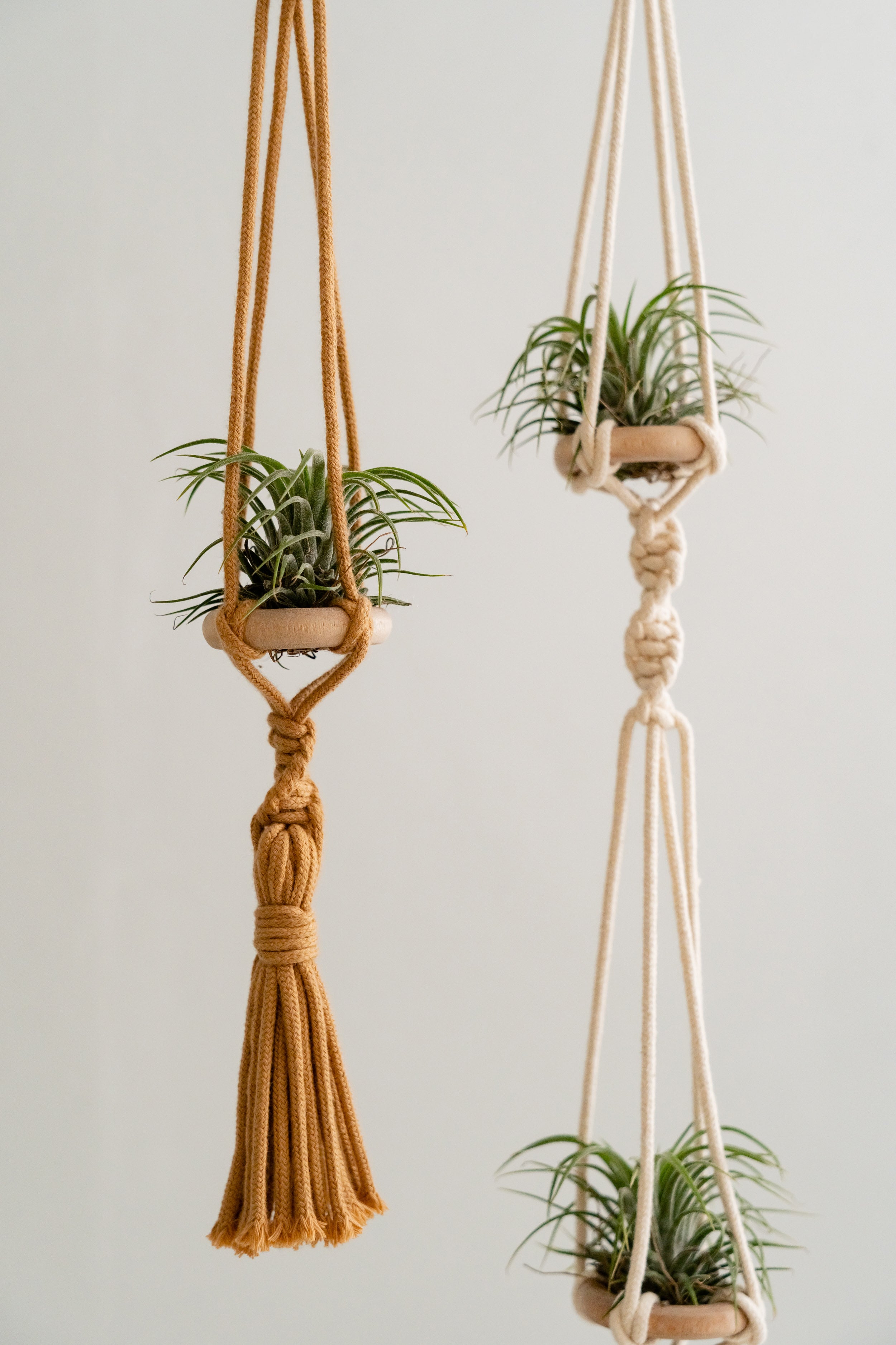 Enhance Your Space with a Macrame Double Plant Hanger for Airplants