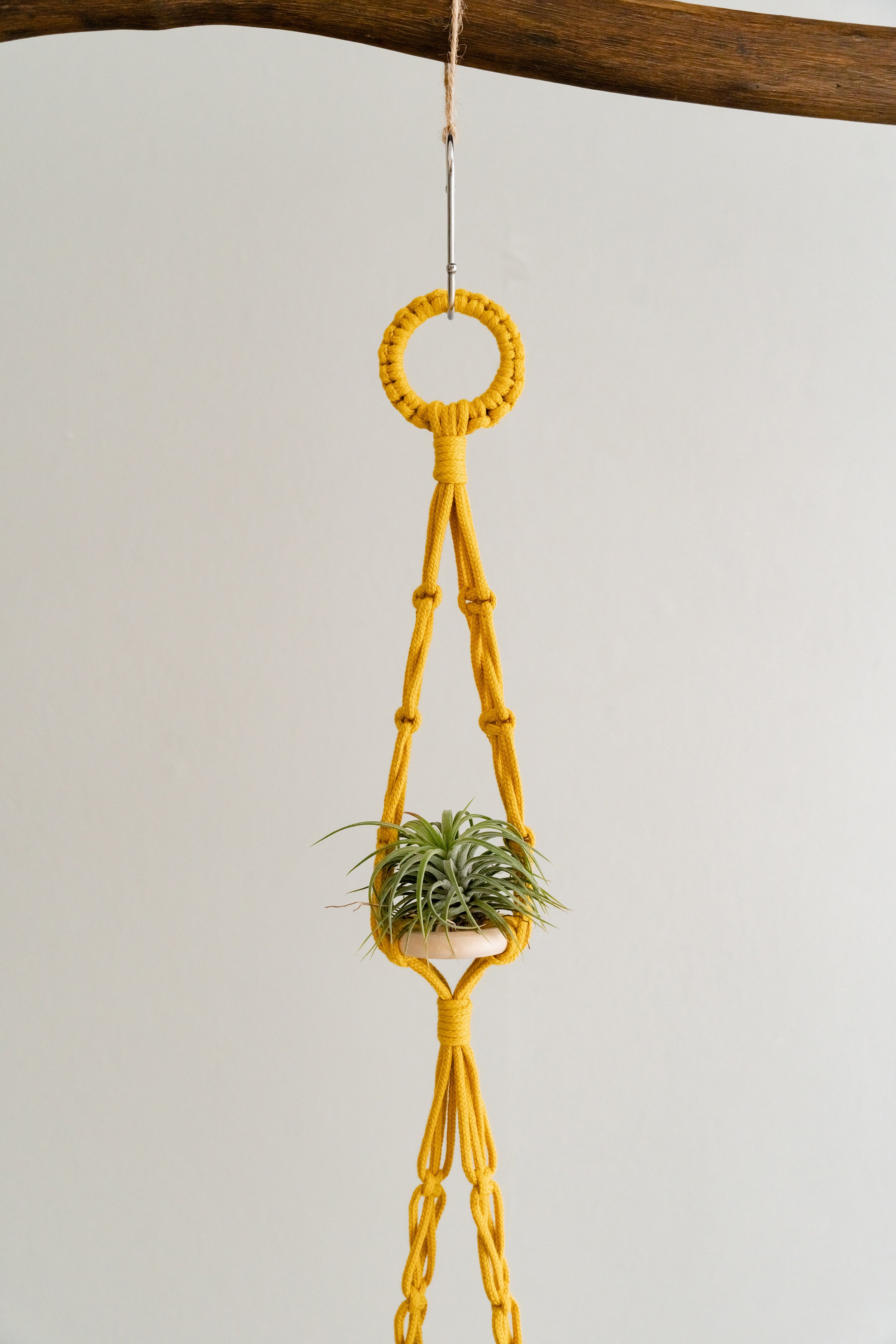 Enhance Your Space with a Macrame Double Plant Hanger for Airplants