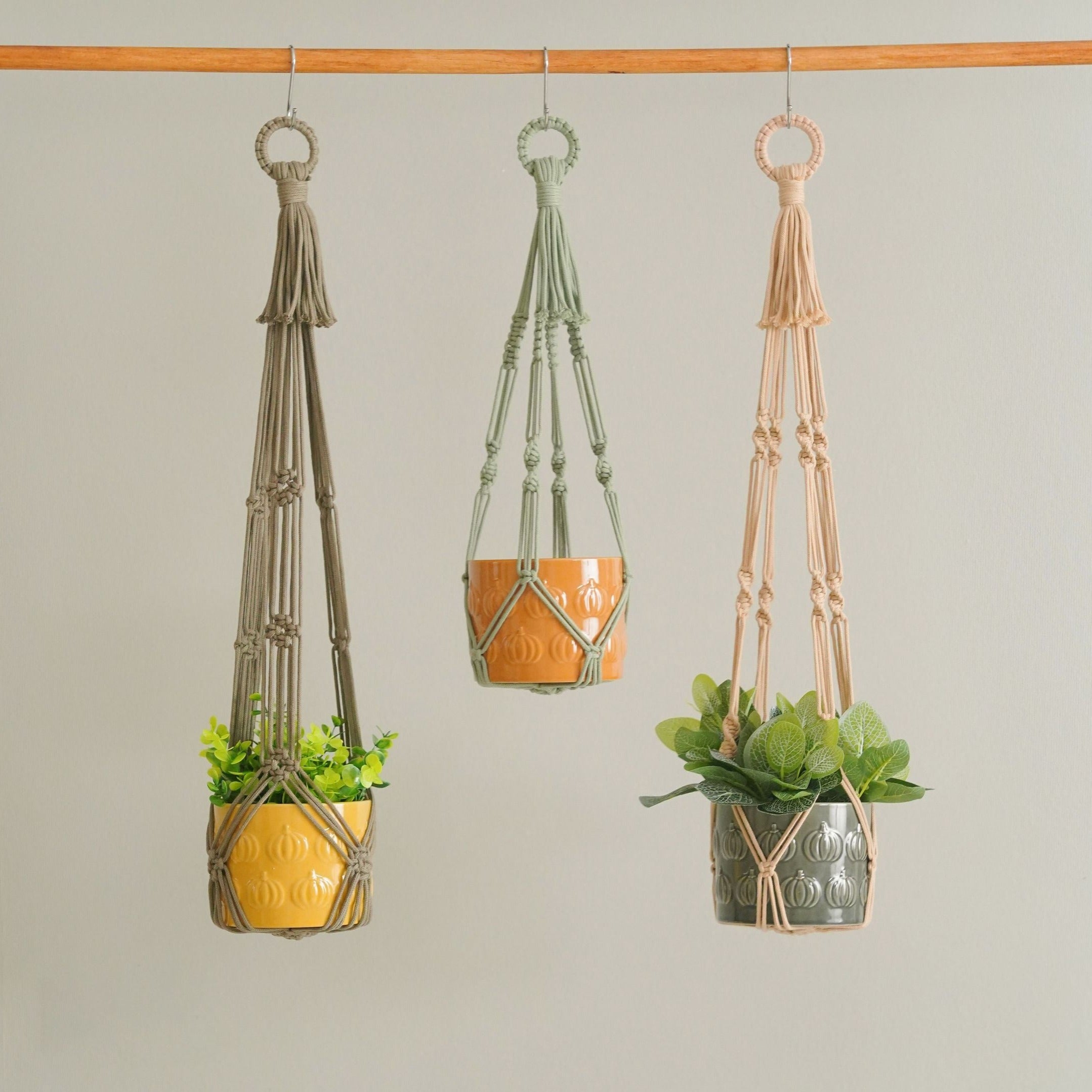 No Tassel Macrame Plant Hanger for Stylish Wall Plant Displays