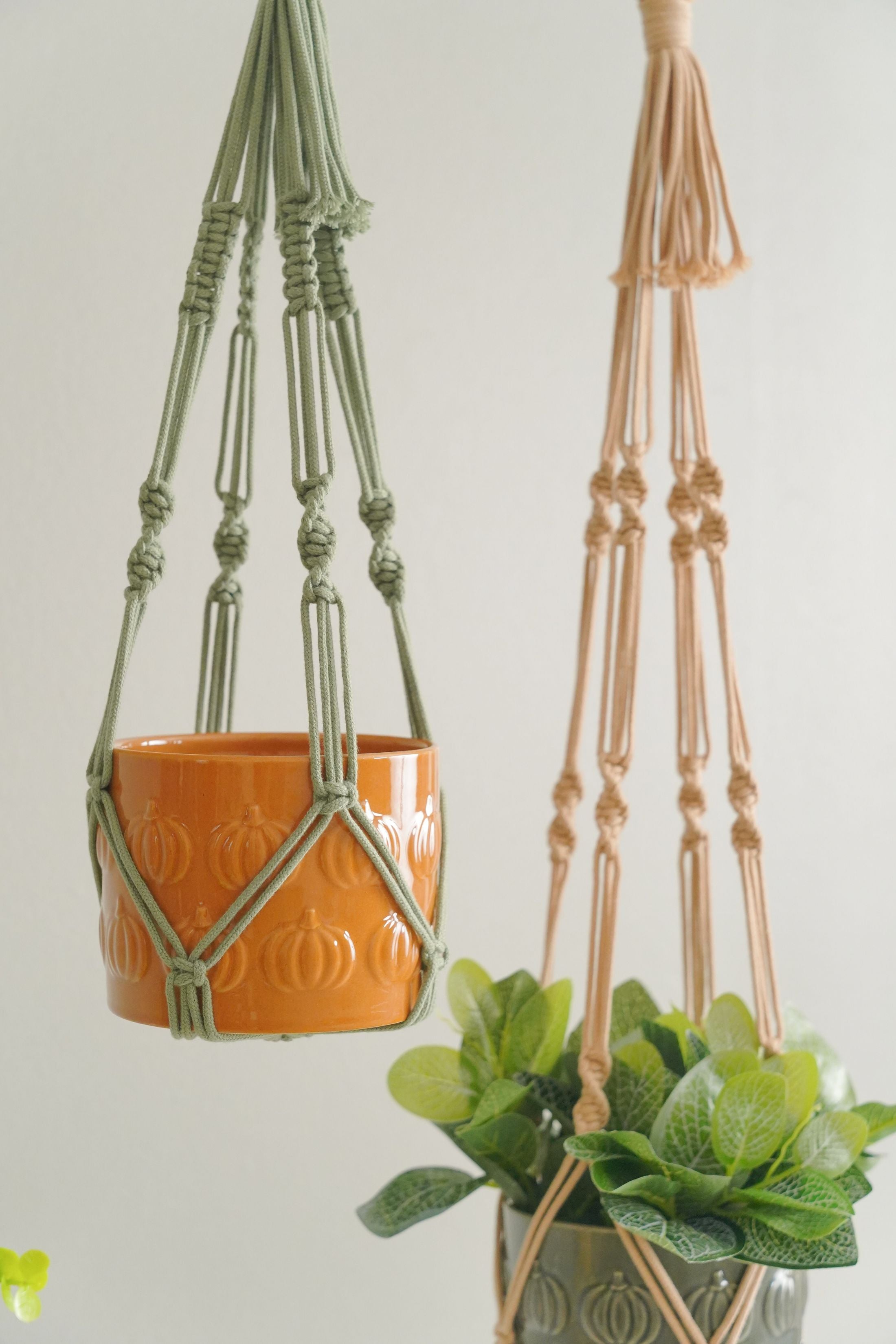 No Tassel Macrame Plant Hanger for Stylish Wall Plant Displays